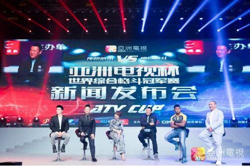 亚洲综合影视,多元文化交融下的光影盛宴