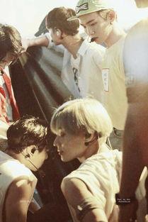 插亚洲,探寻亚洲多元文化交融之美